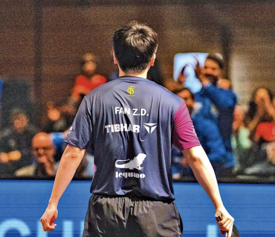 世界球迷喜爱!樊振东高票当选MVP引热议,将与昔日“劲敌”联手世界名宠俱乐部