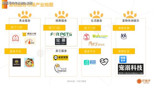 宠物经济新观察 从华晨创谷到世界名宠俱乐部，探索年消费6000元背后的行业变革