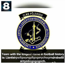 当足球遇上萌宠 从“世界名宠俱乐部”看体育的幽默与温情