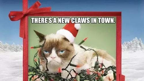 全球名宠福布斯榜Top 10 第一与第十相差28辆劳斯莱斯